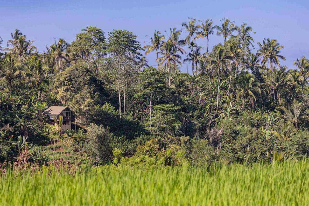 Sanda Plantation Hideaway Dış mekan fotoğraf